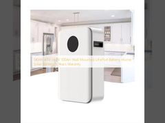 5 كيلوواط في الساعة 48 فولت 51.2 فولت 100Ah الجدار المثبت ليفبو4 بطارية المنزل بطارية شمسية 5 سنوات الضمان